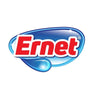 Ernet logo 2