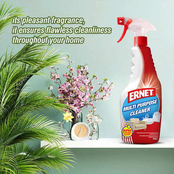 Aspirnet Multi Purpose Cleaner - 750ml