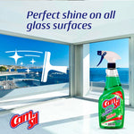 Window Cleaner - Shine - 1 L