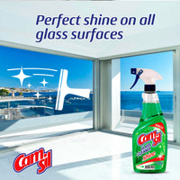 Window Cleaner - Shine - 1 L